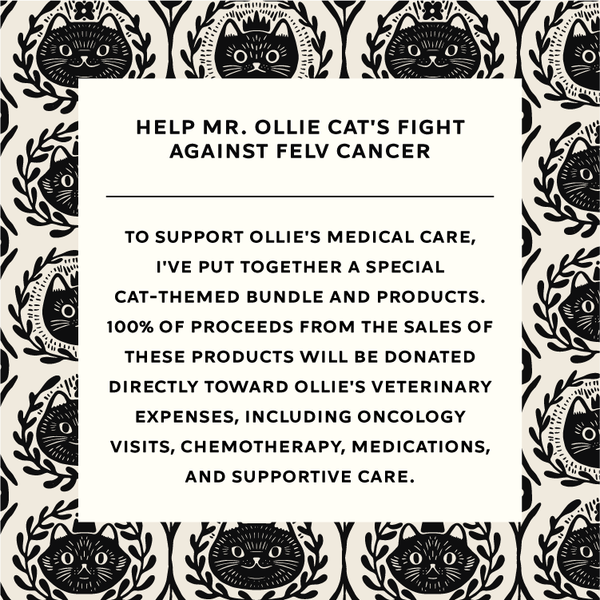 Ollie Care Cat Bundle