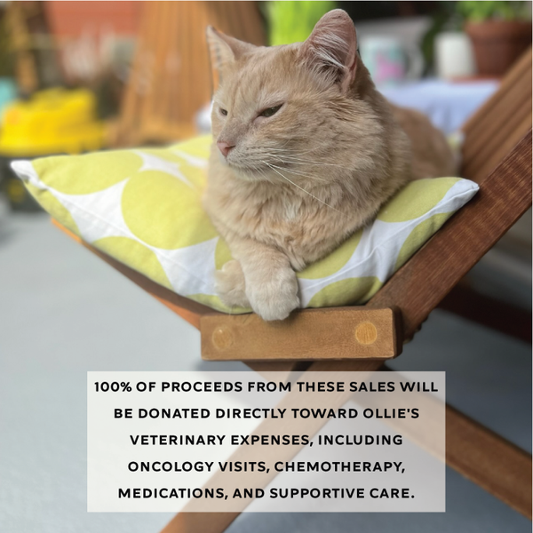 Ollie Care Cat Bundle
